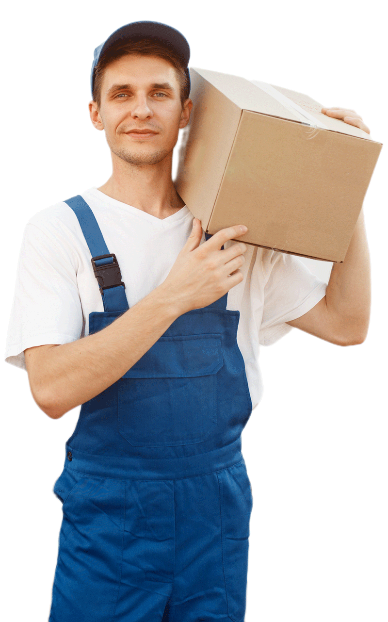Best Movers in Dubai